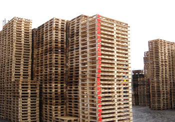 Used Wooden Pallets
